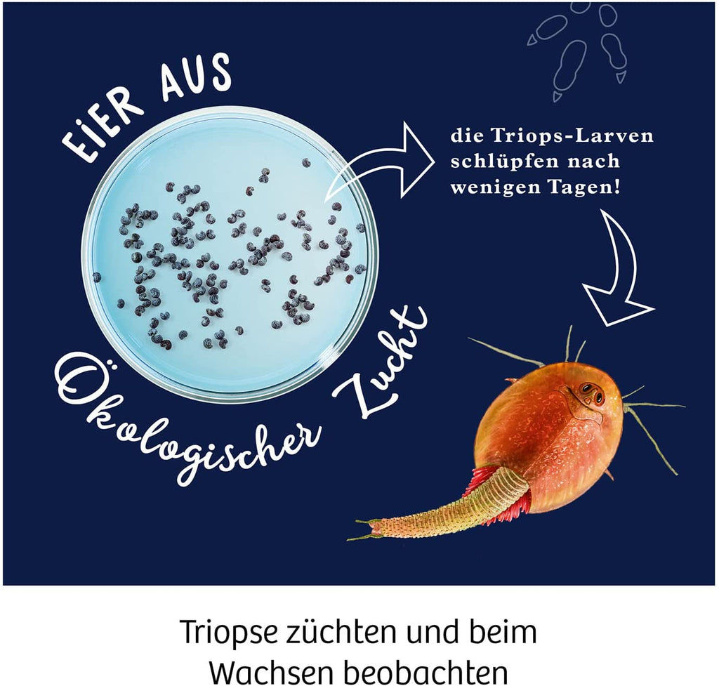 Experiment Fun Science: Triops züchten , Kosmos - Kosmos