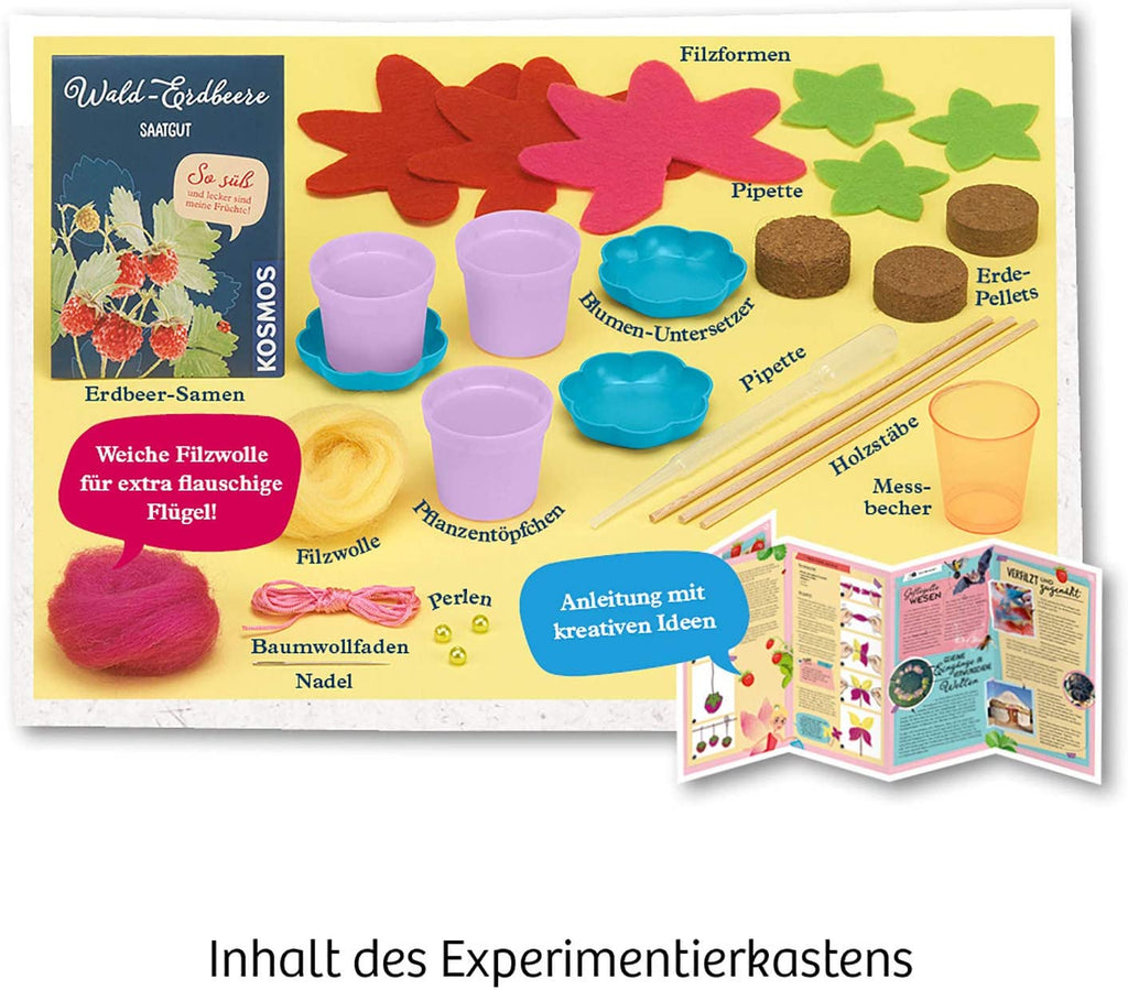 Experimente - Feen - Erdbeeren - Kosmos