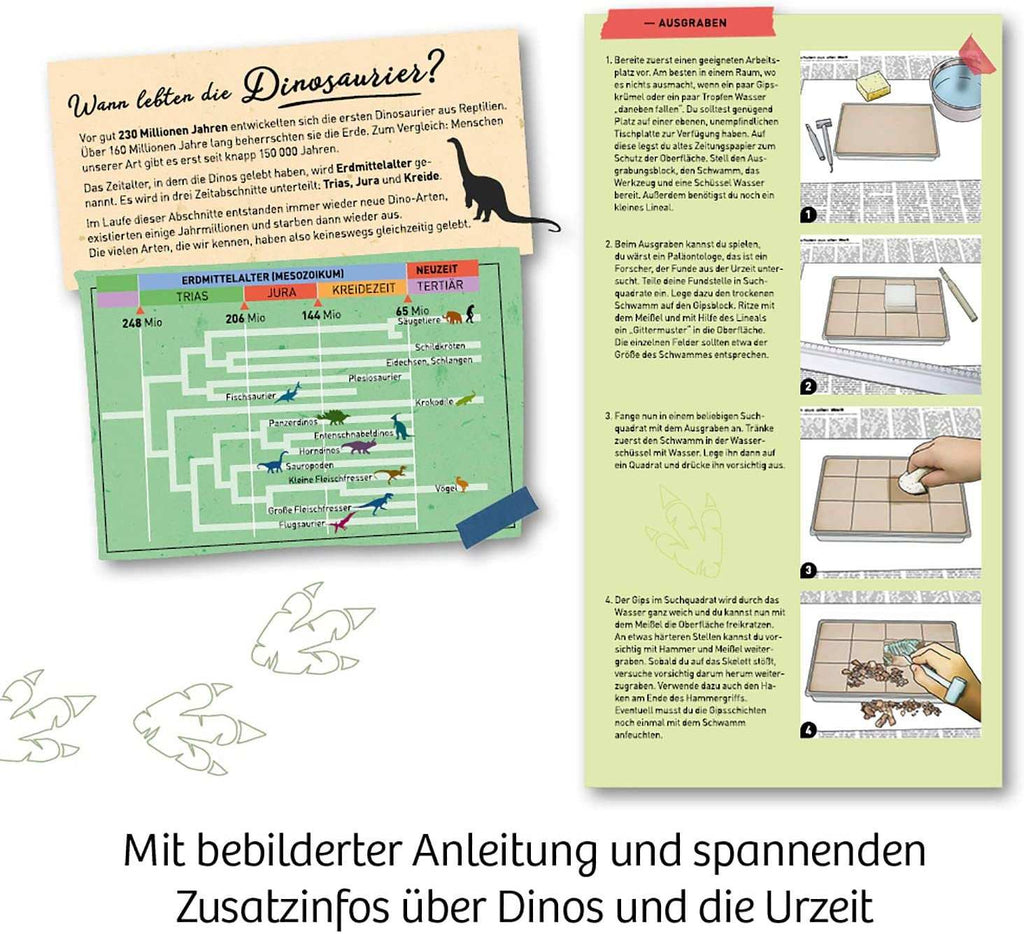 Experimente - Nachtleuchtender T - Rex - Kosmos