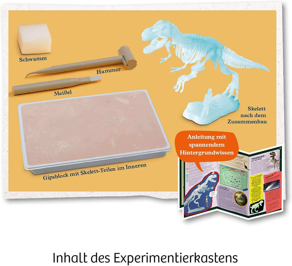 Experimente - Nachtleuchtender T - Rex - Kosmos