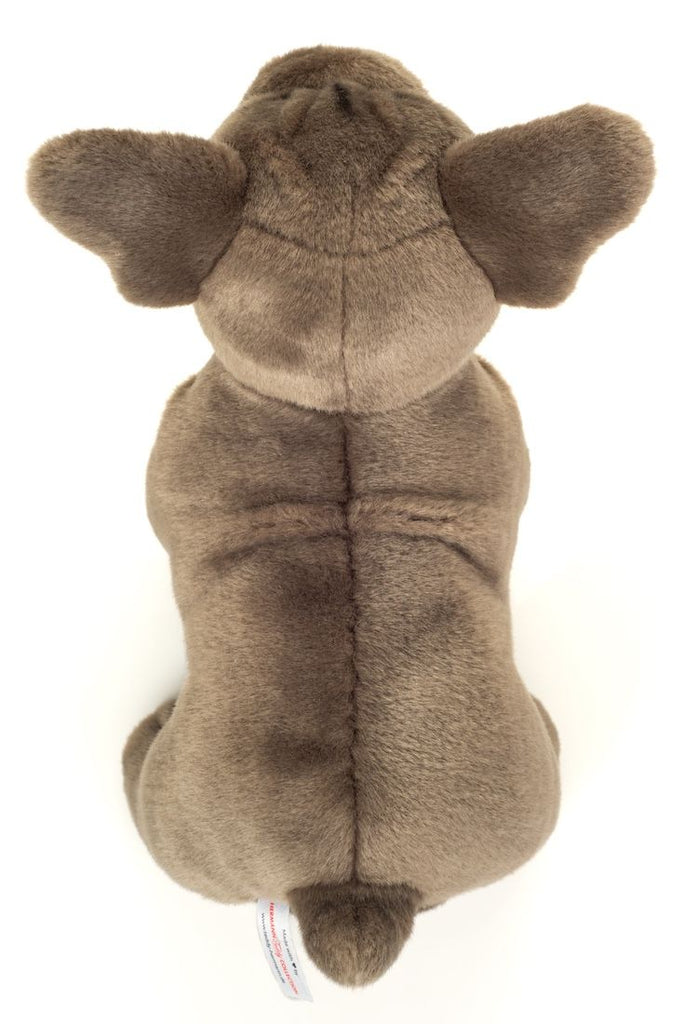 Französische Bulldogge Plüsch 30 cm kompakt naturgetreu für Kinder
