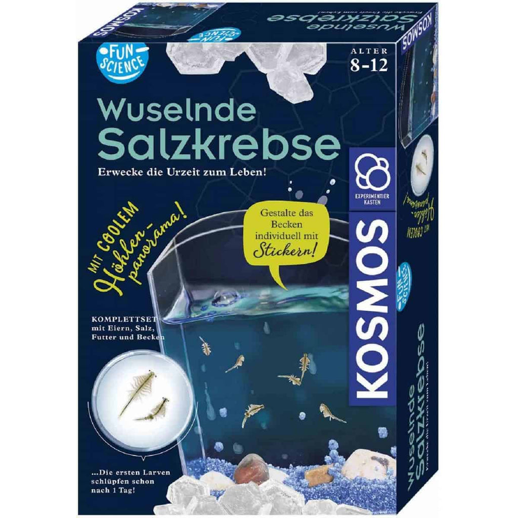 Fun Science: Wuselnde Salzkrebse - Kosmos