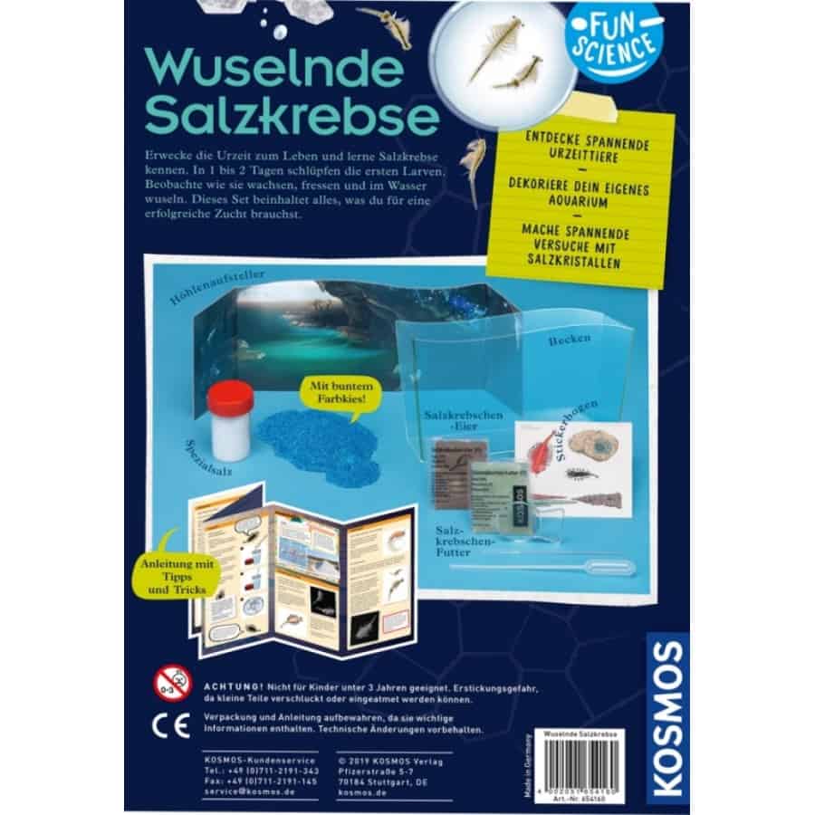 Fun Science: Wuselnde Salzkrebse - Kosmos