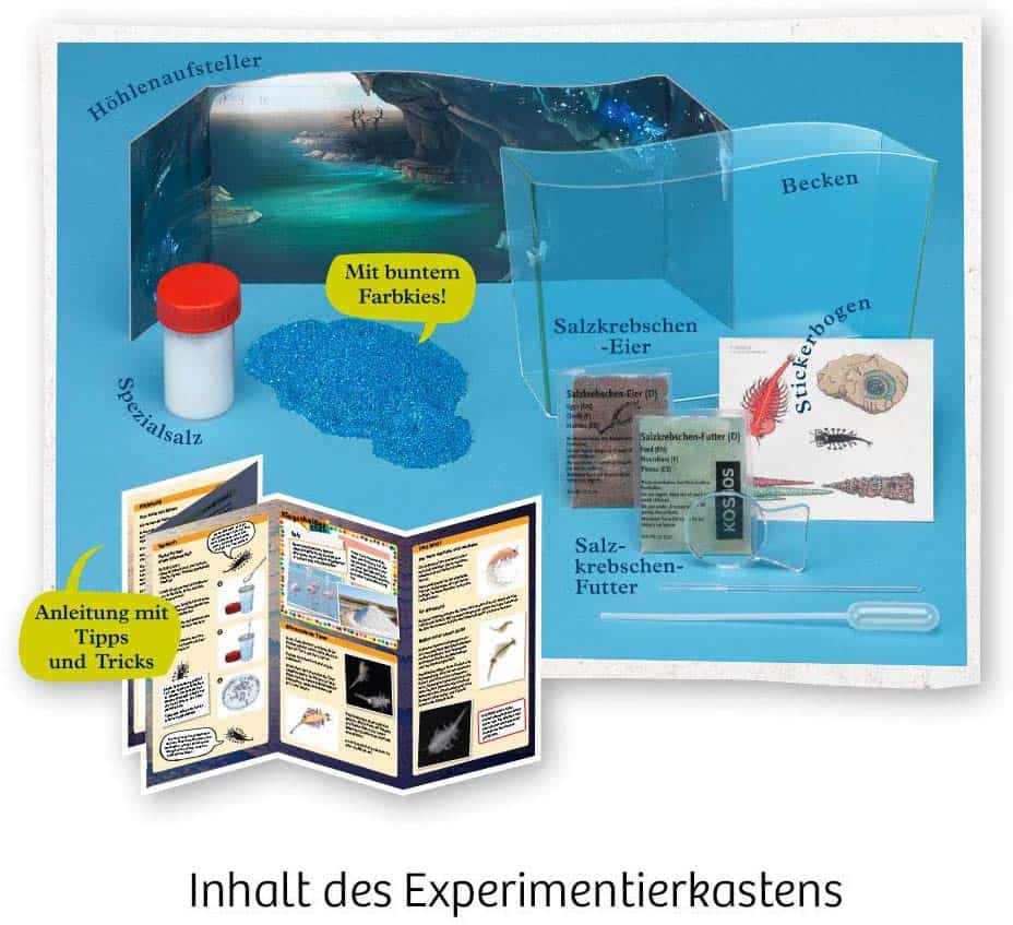 Fun Science: Wuselnde Salzkrebse - Kosmos