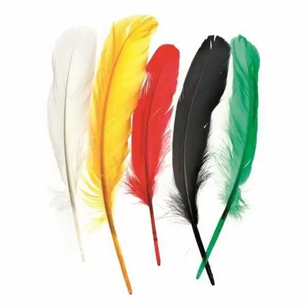GLOREX Indianerfedern mehrfarbig 16 cm 15 Stück Bastelbedarf