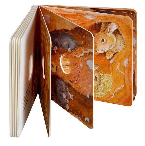 Gucklochbuch ab 2 über Tiere unter der Erde mit Reimen & Illustrationen
