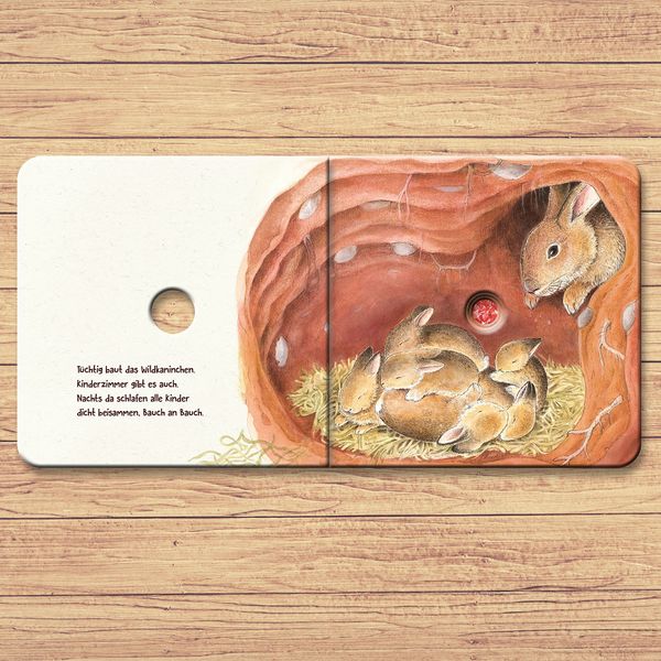 Gucklochbuch ab 2 über Tiere unter der Erde mit Reimen & Illustrationen