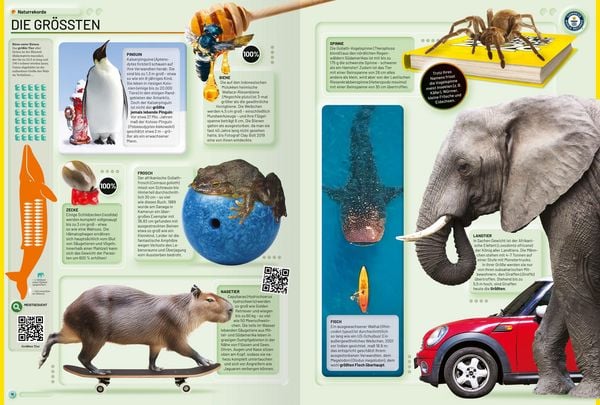 Guinness World Records 2026 Kinderbuch deutsch mit Fun Facts und Sensationen
