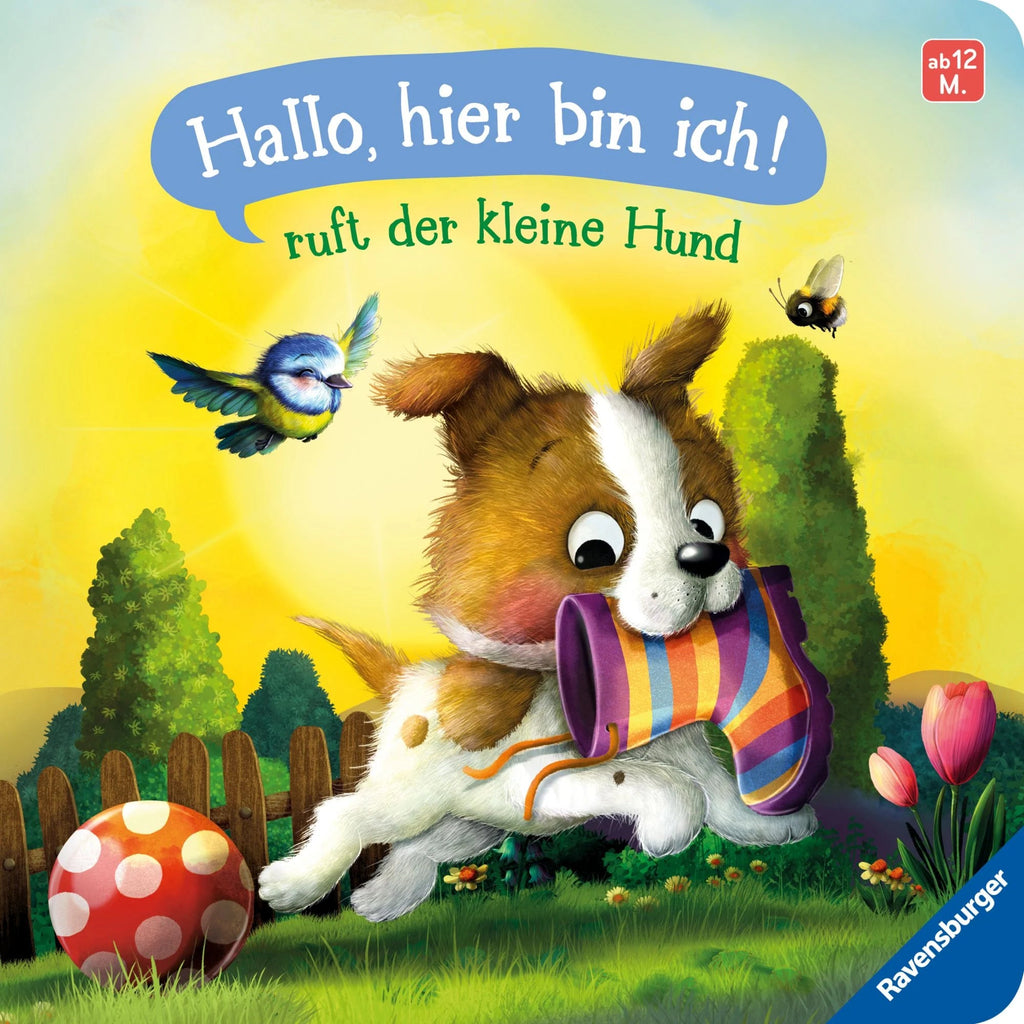 Hallo, hier bin ich! – Kleiner Hund Tierabenteuer ab 12 Monate