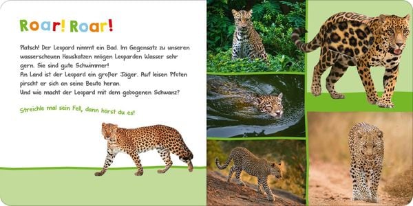 Hör mal rein, wer kann das sein? – Im Dschungel - Ars Edition