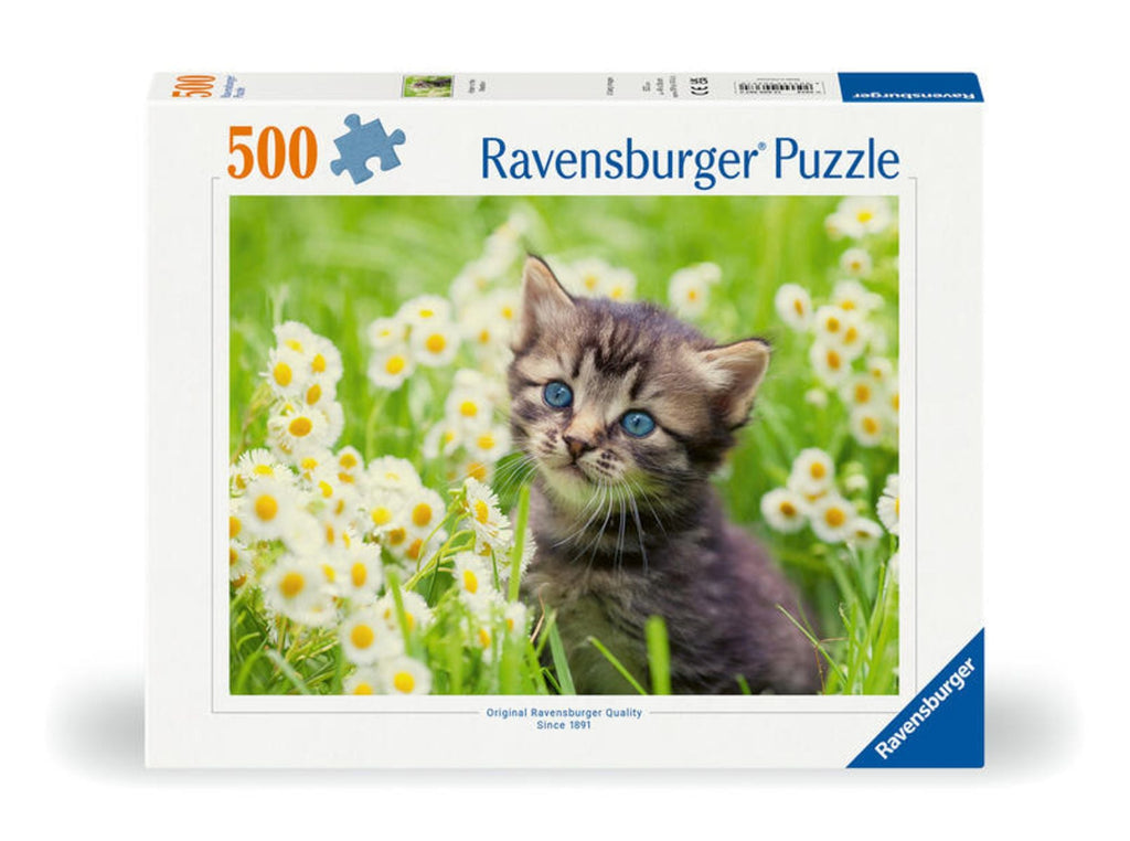 Kätzchen in der Wiese - Ravensburger