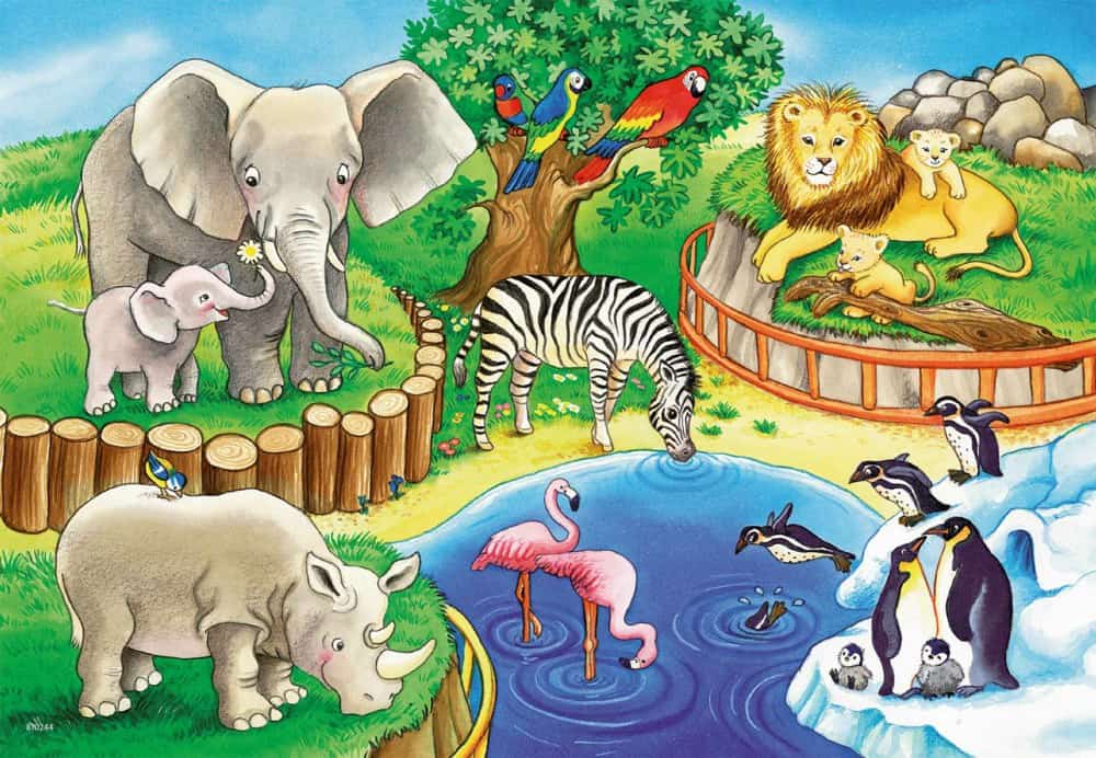 Kinderpuzzle 2x12 - Tiere im Zoo   - Ravensburger