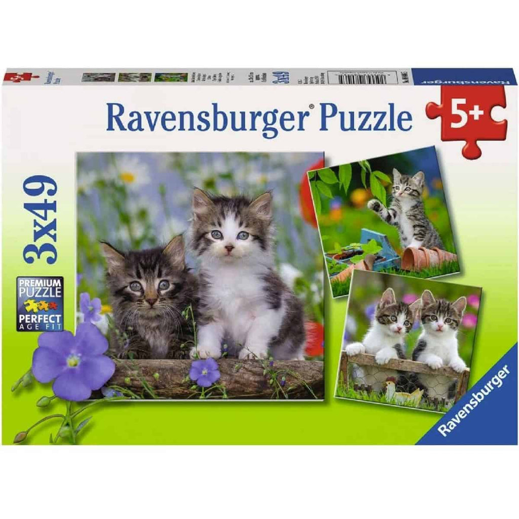 Kinderpuzzle 3x49 - Süße Samtpfötchen - Ravensburger