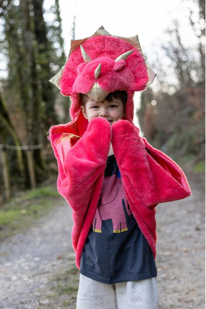 Dino Umhang Triceratops Cape Kleinkind Rot 2 Jahre
