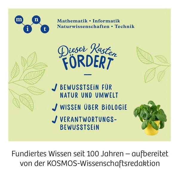 Kräuter - Garten, Züchte duftende Kräuter auf der Fensterbank - Kosmos