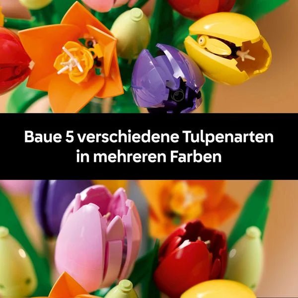 Ratzekatz Spielzeugland – hochwertiges Spielzeug in Berlin