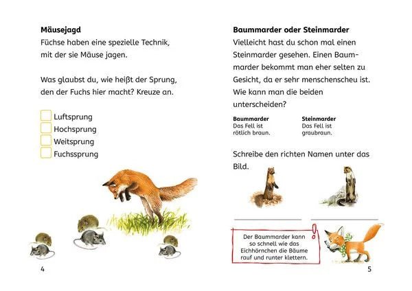 Leserätselbuch Waldtiere & Pflanzen ab 7 Jahren mit Aufgaben & Naturwissen