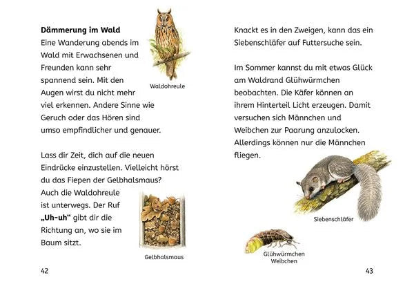 Leserätselbuch Waldtiere & Pflanzen ab 7 Jahren mit Aufgaben & Naturwissen