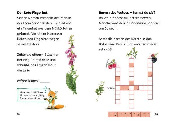 Leserätselbuch Waldtiere & Pflanzen ab 7 Jahren mit Aufgaben & Naturwissen