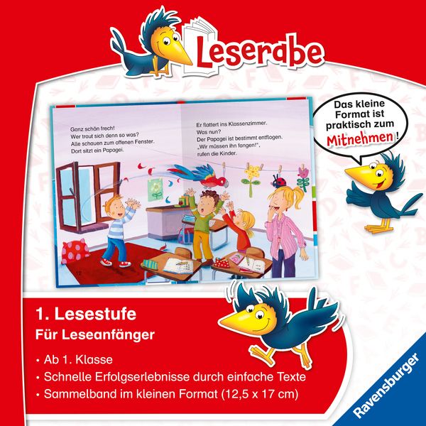 Schulhofdetektive und Schulgeschichten in Leserabe Sammelband
