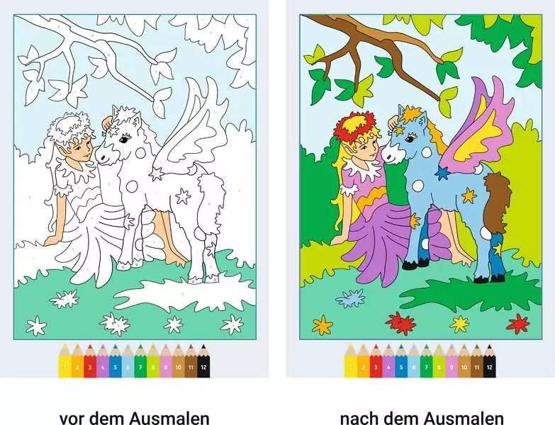 Malbuch Elfen und Feen im Zauberwald mit nummerierten Feldern für Kinder ab 5 Jahren
