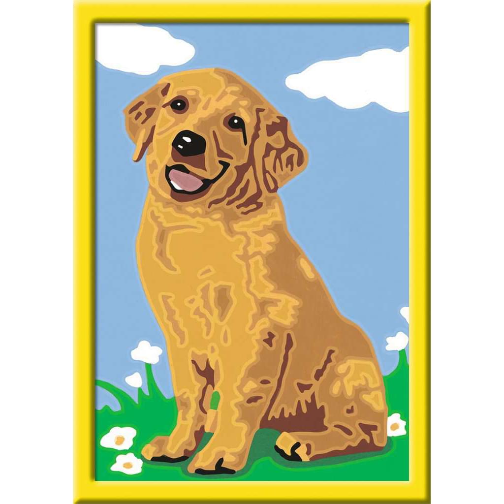 Malen nach Zahlen - Kleiner Golden Retriever - Ravensburger