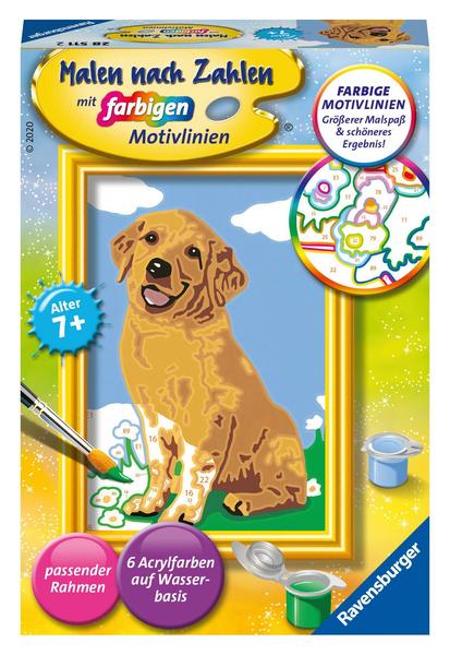 Malen nach Zahlen - Kleiner Golden Retriever - Ravensburger