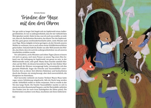 Märchenland für alle Hardcover Buch inklusive Vielfalt