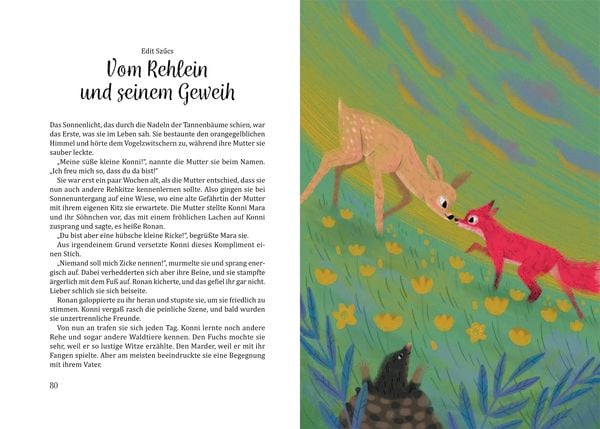 Märchenland für alle Hardcover Buch inklusive Vielfalt