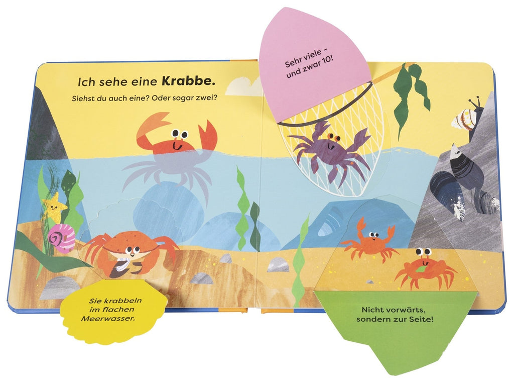 Kinderbuch mit Delfin, Krabbe und Seehund zum Entdecken