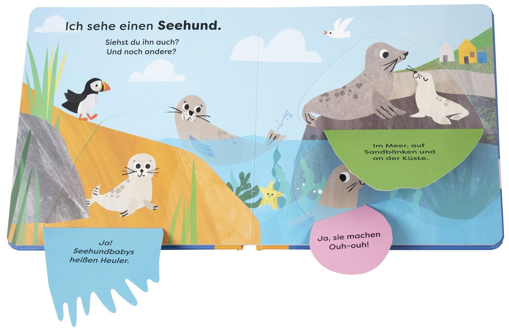 Aufgeschlagenes Tierbuch mit Klappen über Meerestiere