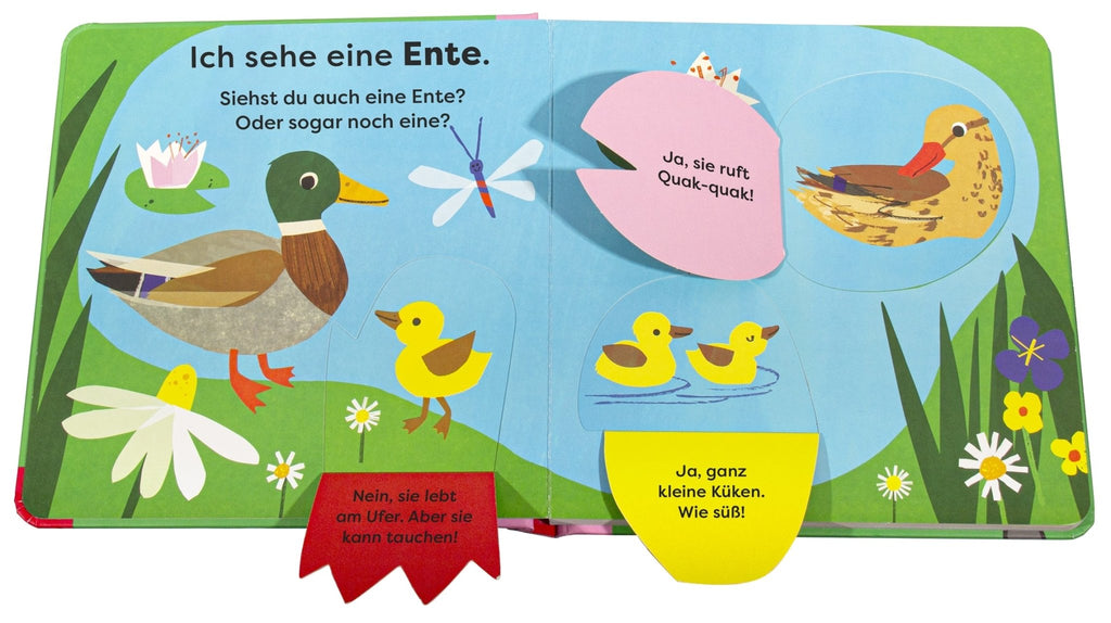 Mein erstes Natur - Entdeckerbuch. Da! Eine Ente - DK Verlag