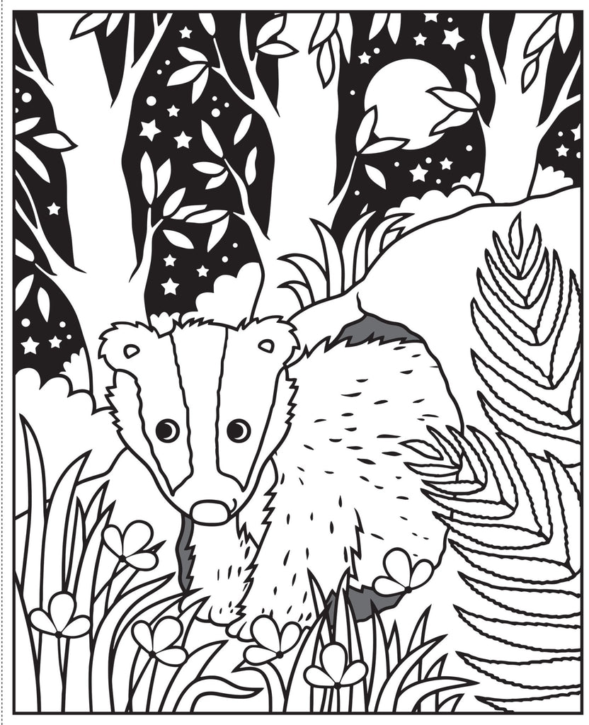 Kreatives Wasser-Malbuch Tiere des Waldes mit Pinsel
