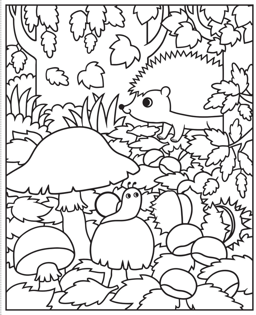 Magisches Malbuch mit Wasserfarben und Waldtieren
