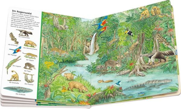 Mein großes Sachen suchen: Alle Tiere der Welt - Ravensburger