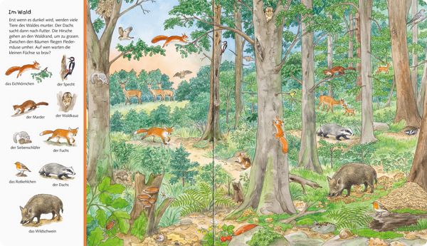 Mein großes Sachen suchen: Tiere der Welt - Ravensburger