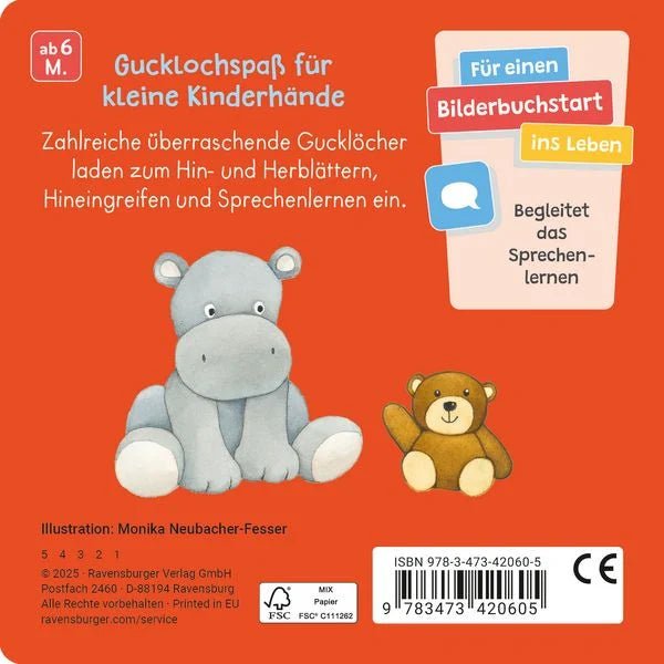 Gucklochbuch Alltagsgegenstände für Kleinkinder ab 6 M