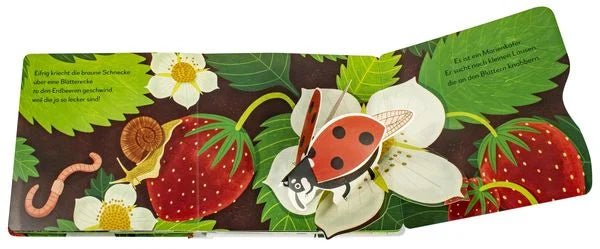 Mein Pop-up-Buch Garten – Natur entdecken ab 2 Jahren
