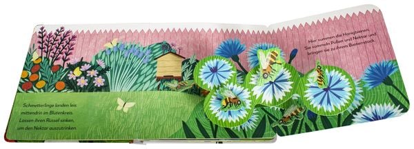 Pop-up-Buch Garten mit Schmetterlingen, Bienen und Spatzen
