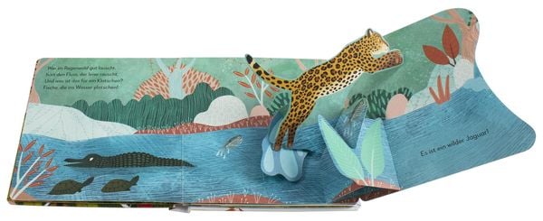 Mein Pop-up-Buch Regenwald – Natur entdecken ab 2 Jahren
