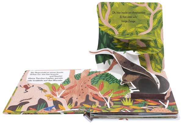Bilderbuch Regenwald Tiere – Pop-up-Buch für Kleinkinder ab 2
