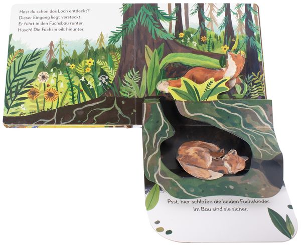 Mein Pop - up - Buch zum Staunen. Wer lebt im Wald? - DK Verlag