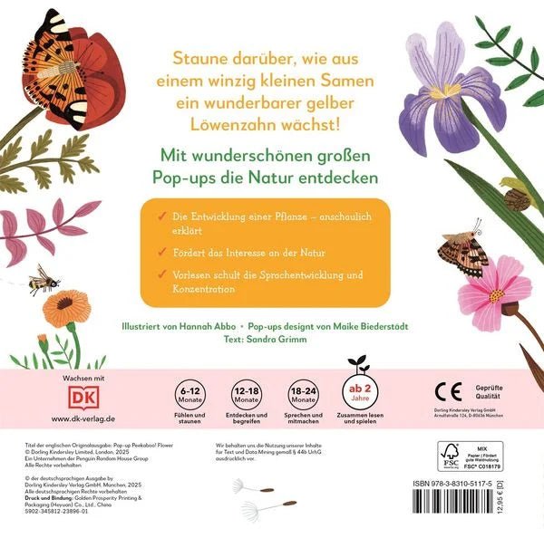 Kinderbuch Löwenzahn – Vom Samen zur Pusteblume Pop-up-Buch
