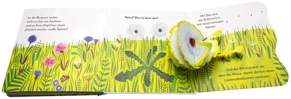Pop-up-Bilderbuch Löwenzahn Naturkreislauf für Kinder ab 2
