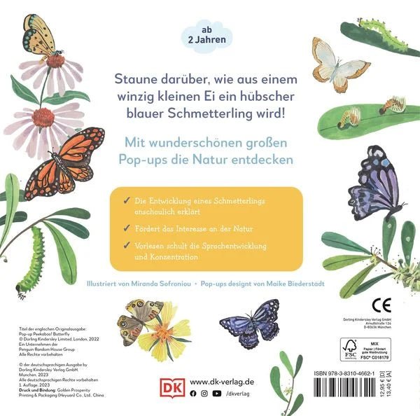 Mein Pop - up - Buch zum Staunen. Wo kommst du her, kleiner Schmetterling? - DK Verlag