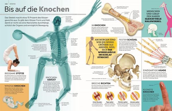 Memo Wissen Das große Kindersachbuch mit Fotos und Fakten