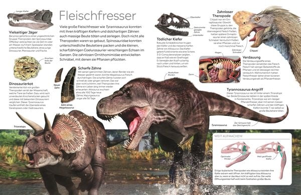 Memo Wissen. Dinosaurier - DK Verlag