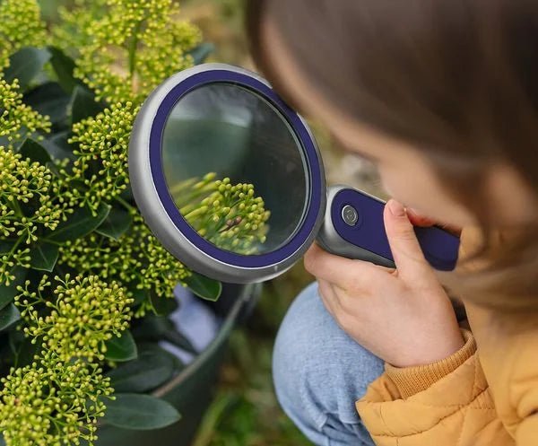 LED-Lupe USB-C für präzise Beobachtungen im Garten
