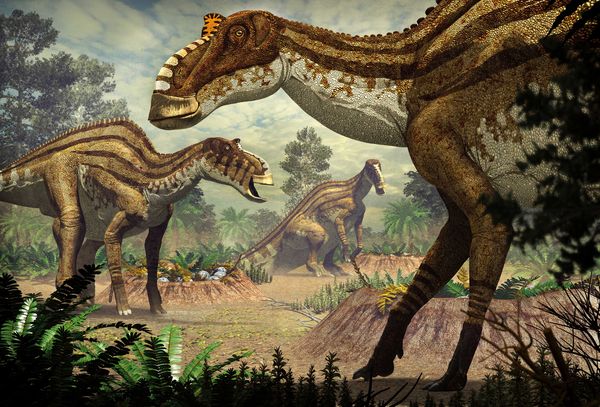 Pflanzenfressende Dinosaurier. Das Entdeckerbuch für kleine Dino - Forscher - White Star