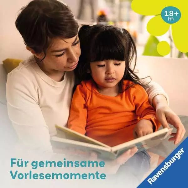 Play+ flip&pop Meine Tiere Babybuch ab 6 Monaten
